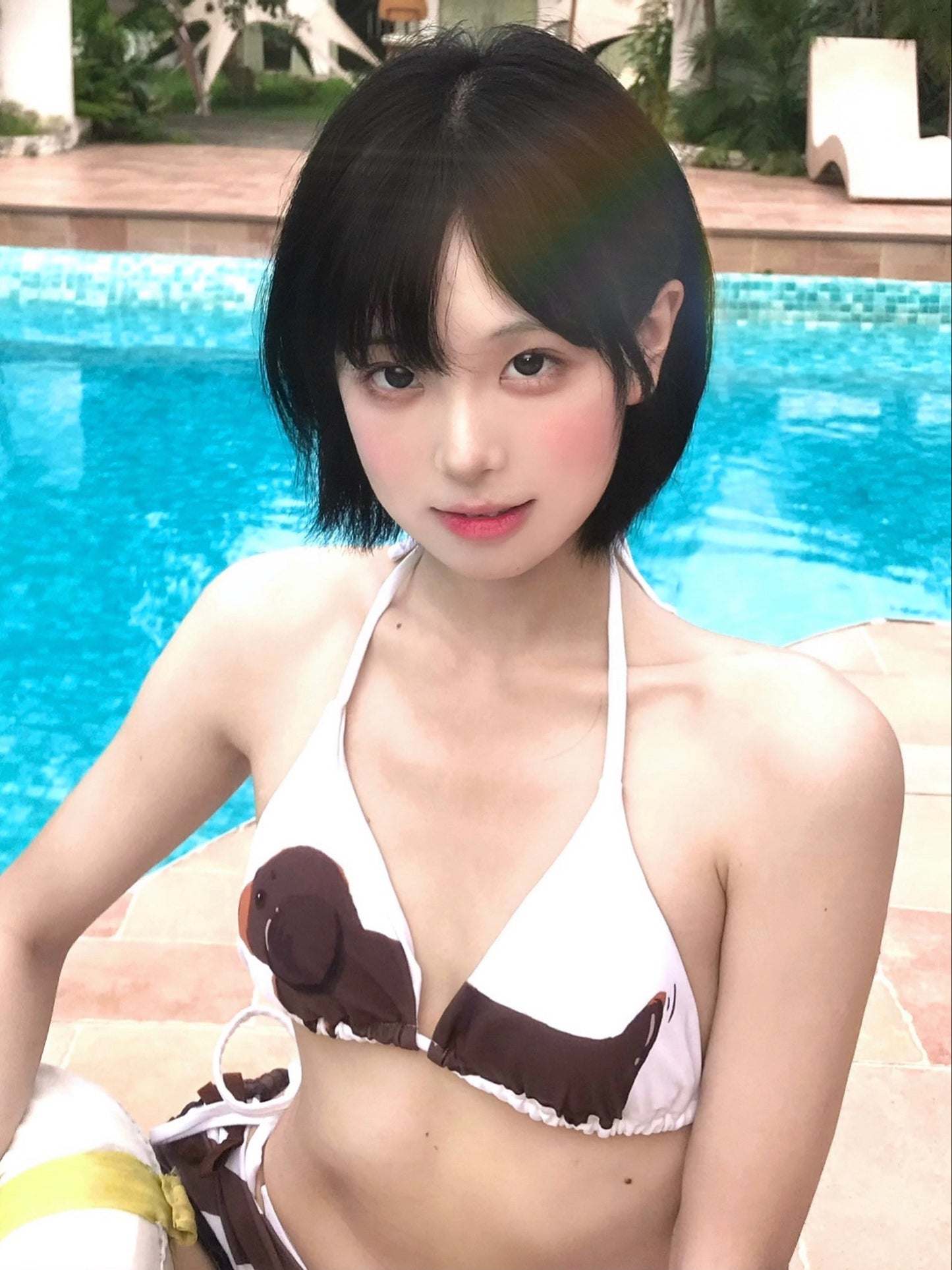 ダックスフンド 3ピースビキニセット Dachshund 3 Piece Bikini Set